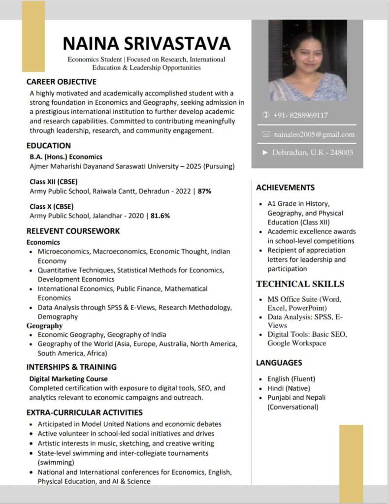 Visual Resume Format