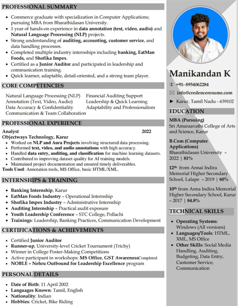 Visual Resume Format