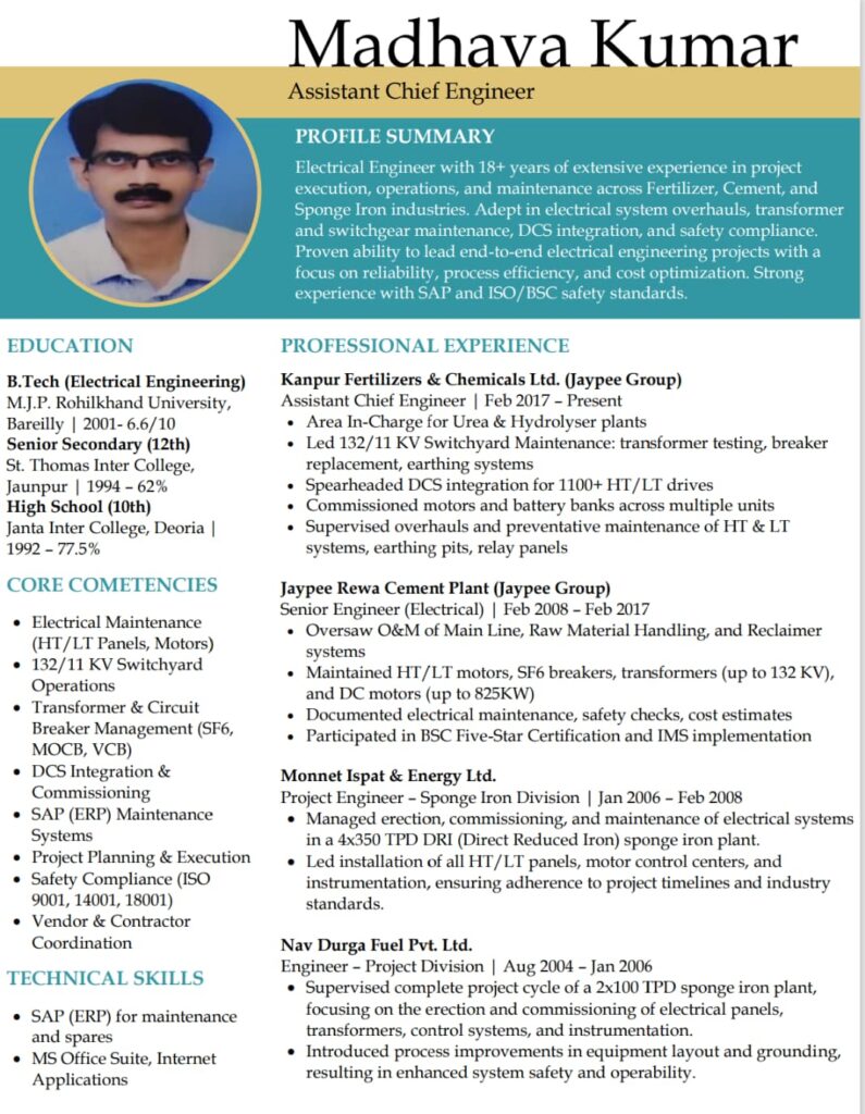 Visual Resume Format