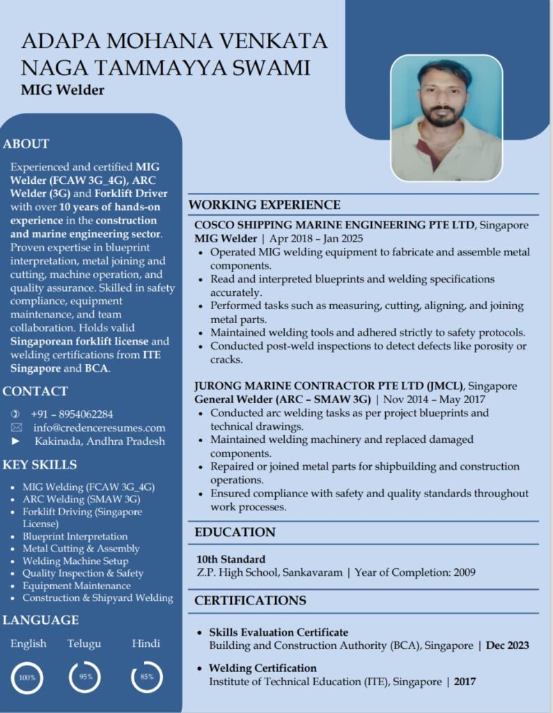 Visual Resume Format